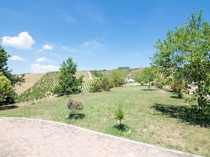Property grounds - Peaceful Stay in San Savino (Ascoli Piceno)
