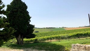 Property grounds - Relaxing Retreat in San Savino (Ascoli Piceno)