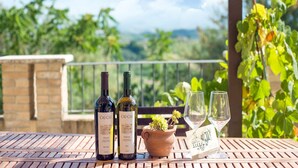 Outdoor dining - Relaxing Retreat in San Savino (Ascoli Piceno)