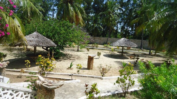 A tropical garden with thatched umbrellas, palm trees, and a variety of plants. - Dudu Villas N Backpackers (Lamu)