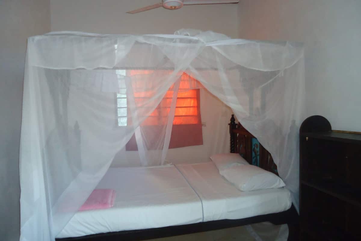 A single bed with a mosquito net, a wooden headboard, and a nightstand.