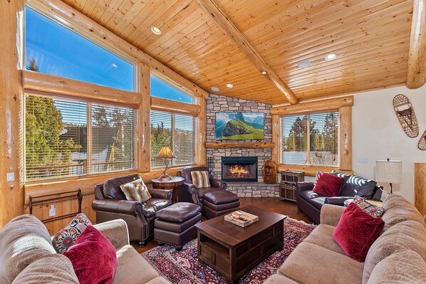 TV, fireplace, books