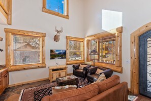 TV, fireplace, books