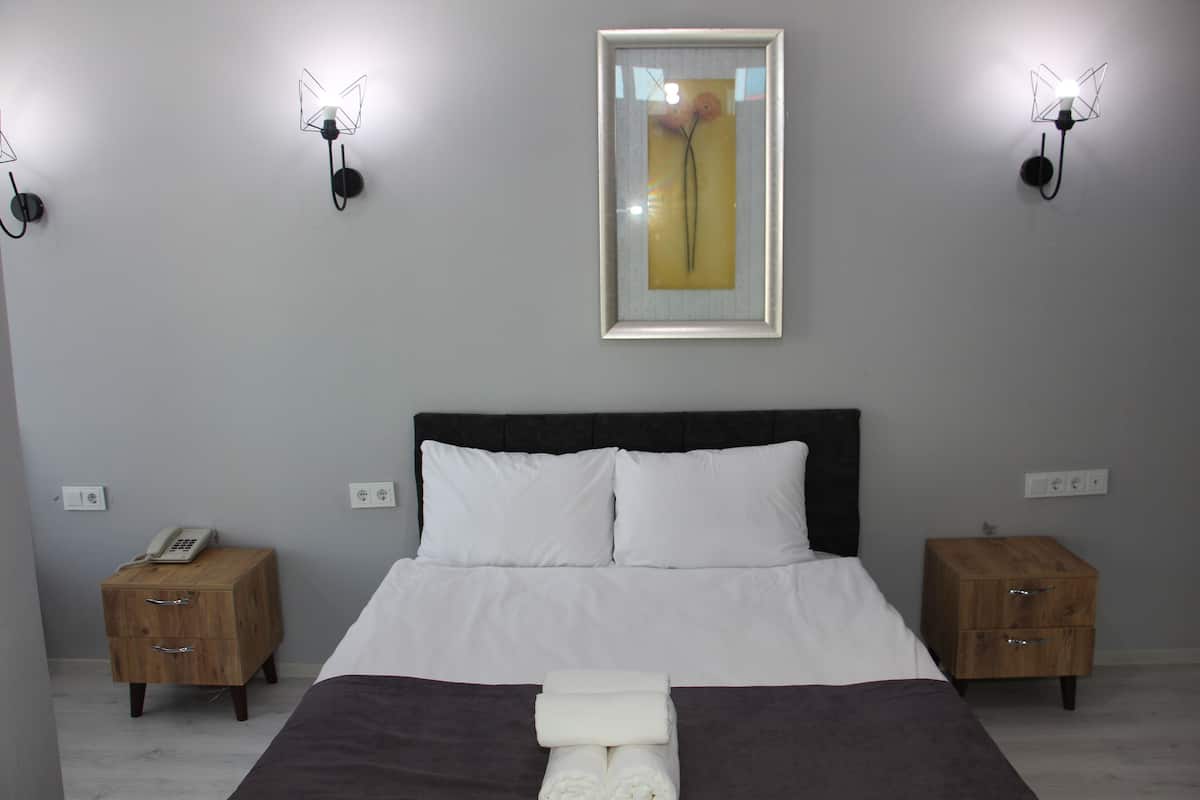 Standard Double Room | Minibar, lydisolering, gratis Wi-Fi, sengetøj