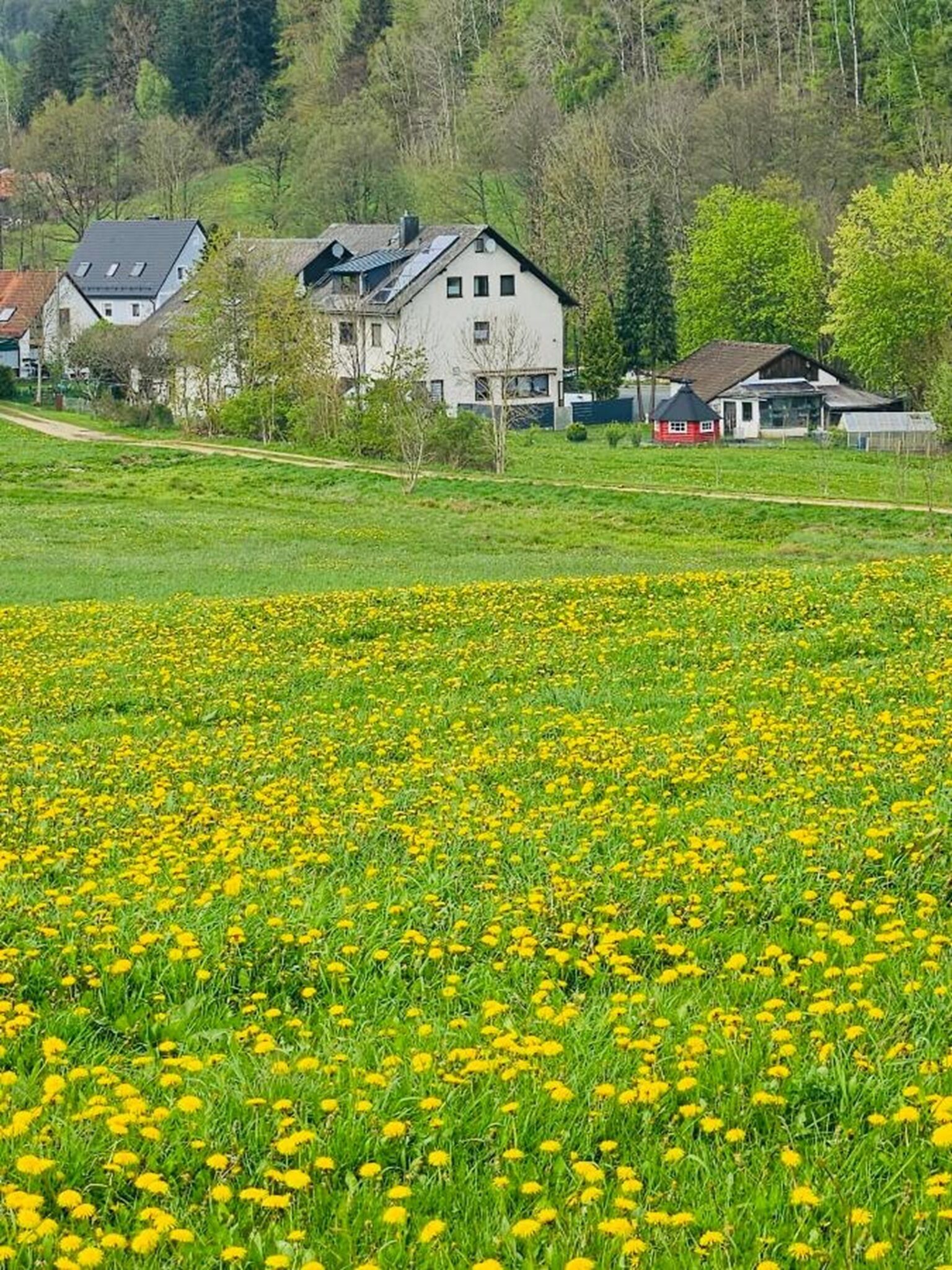 واجهة المنشأة