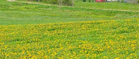 واجهة المنشأة