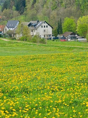 Front of property - Bellas Mühlbachtal (Friedenfels)