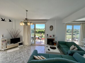 TV, fireplace, DVD player