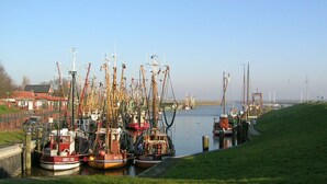 A harbor with multiple fishing boats docked along the water's edge. - Vacation apartment Starboard Greetsiel (Greetsiel)