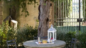 A stone table with two chairs, surrounded by gravel, under a large tree. - The Chapel - ancient little country church (GRASSINA)