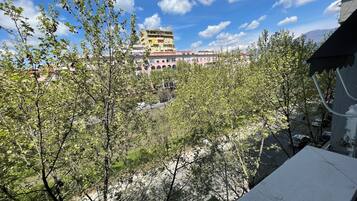 Apartment, 1 Bedroom, Balcony, River View | Balcony view