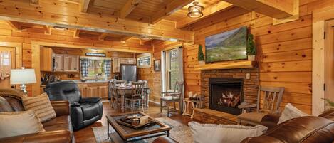 テレビ、暖炉、テレビゲーム、DVD プレーヤー