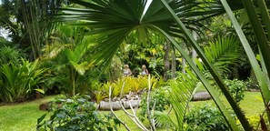 A lush garden with various tropical plants and a person sitting on a rock. - "Jolly Rooster" Farm Cottage near famous Muri Beach  (Matavera)