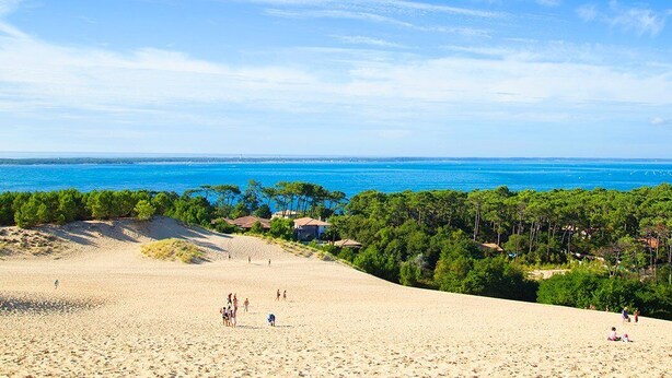 A beach with a clear view of the ocean and a forested area in the background. - Semi-detached duplex house of 50m² for 5 people (BISCARROSSE)