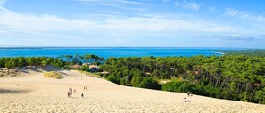 A beach with a clear view of the ocean and a forested area in the background. - Semi-detached duplex house of 50m² for 5 people (BISCARROSSE)