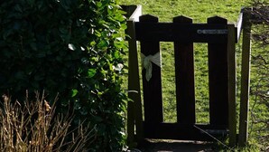 Une porte en bois donne accès à une zone herbeuse, avec un banc visible au fond.