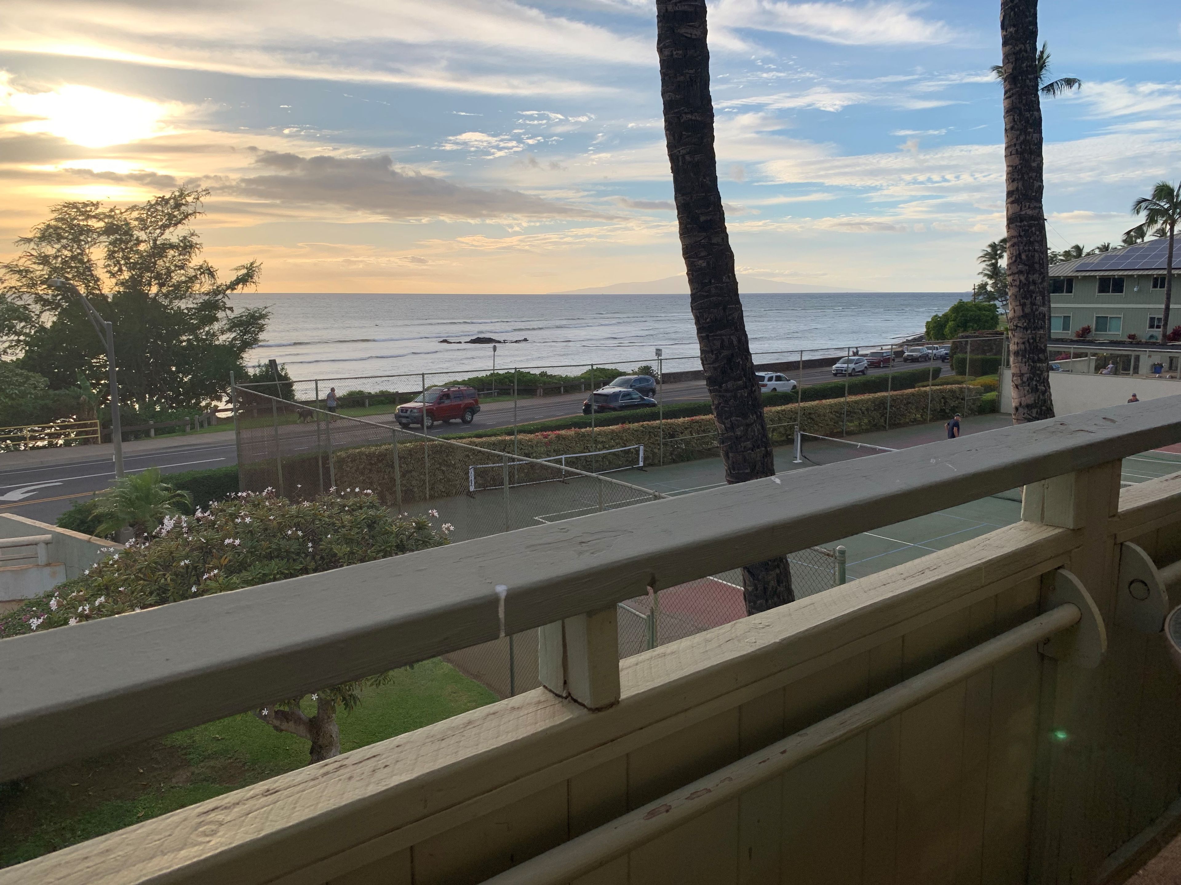 A balcony with a view of the ocean, palm trees, and a road with cars.