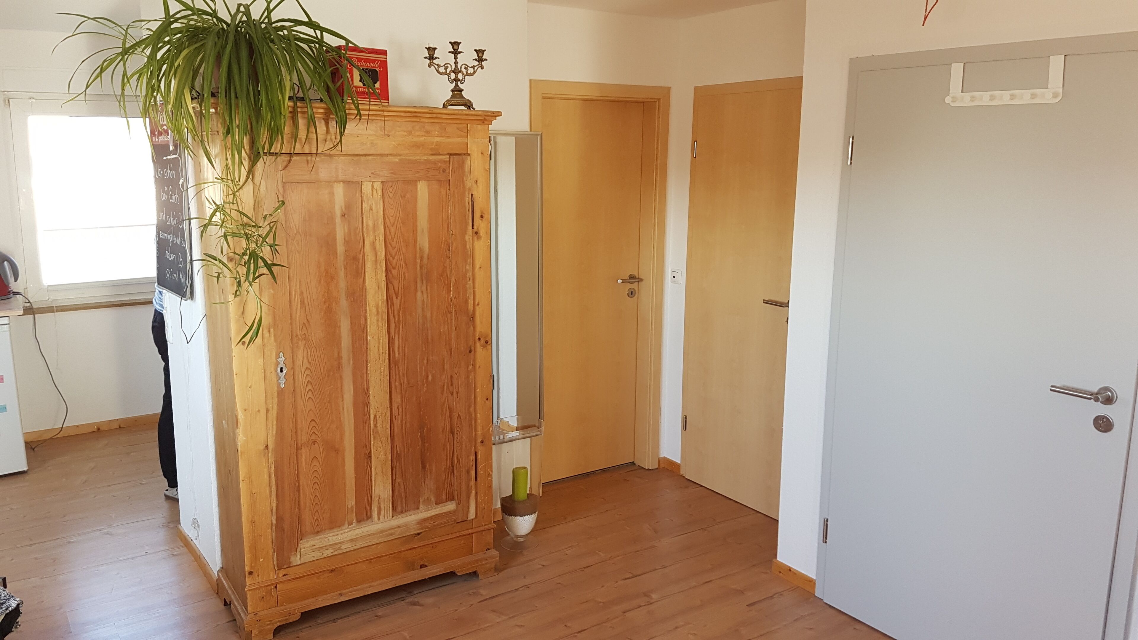 Une pièce avec un plancher en bois, une grande armoire en bois, une plante en pot et une porte dotée d’une poignée blanche.