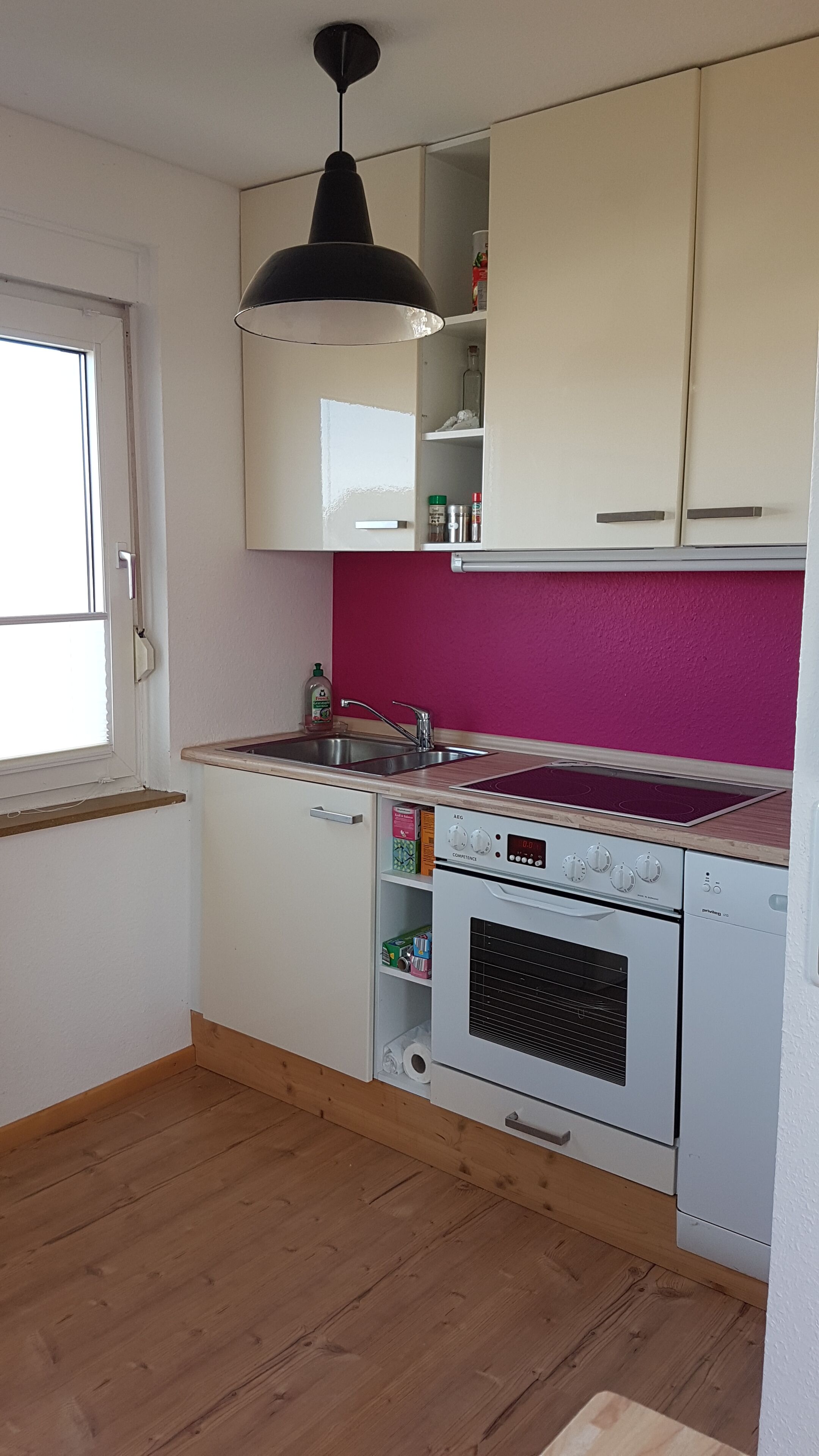 Kühlschrank, Mikrowelle, Herdplatte, Geschirrspüler