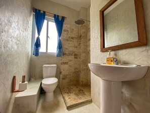 Shower, towels, toilet paper