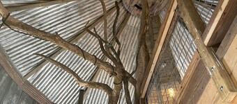 The Farmhouse Grain Bin at Goose Creek Farm in Cornersville TN