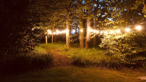 Ein bewaldetes Gebiet mit einem Pfad und Lichterketten.