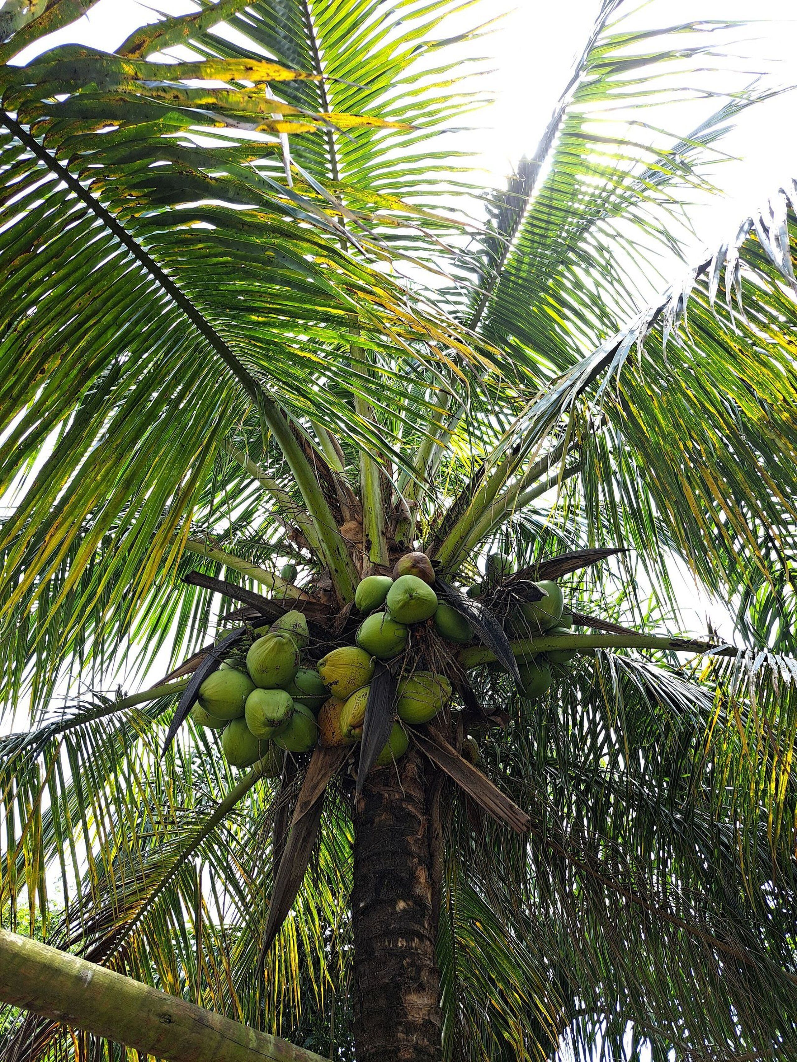 Foto - Hotel Liberdade Búzios