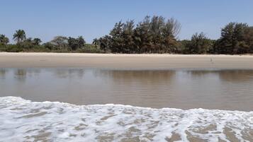 Playa en los alrededores