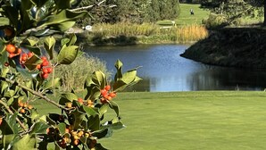 Un campo de golf con un estanque, árboles y cielo despejado.