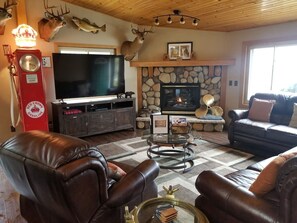 Smart TV, fireplace, books