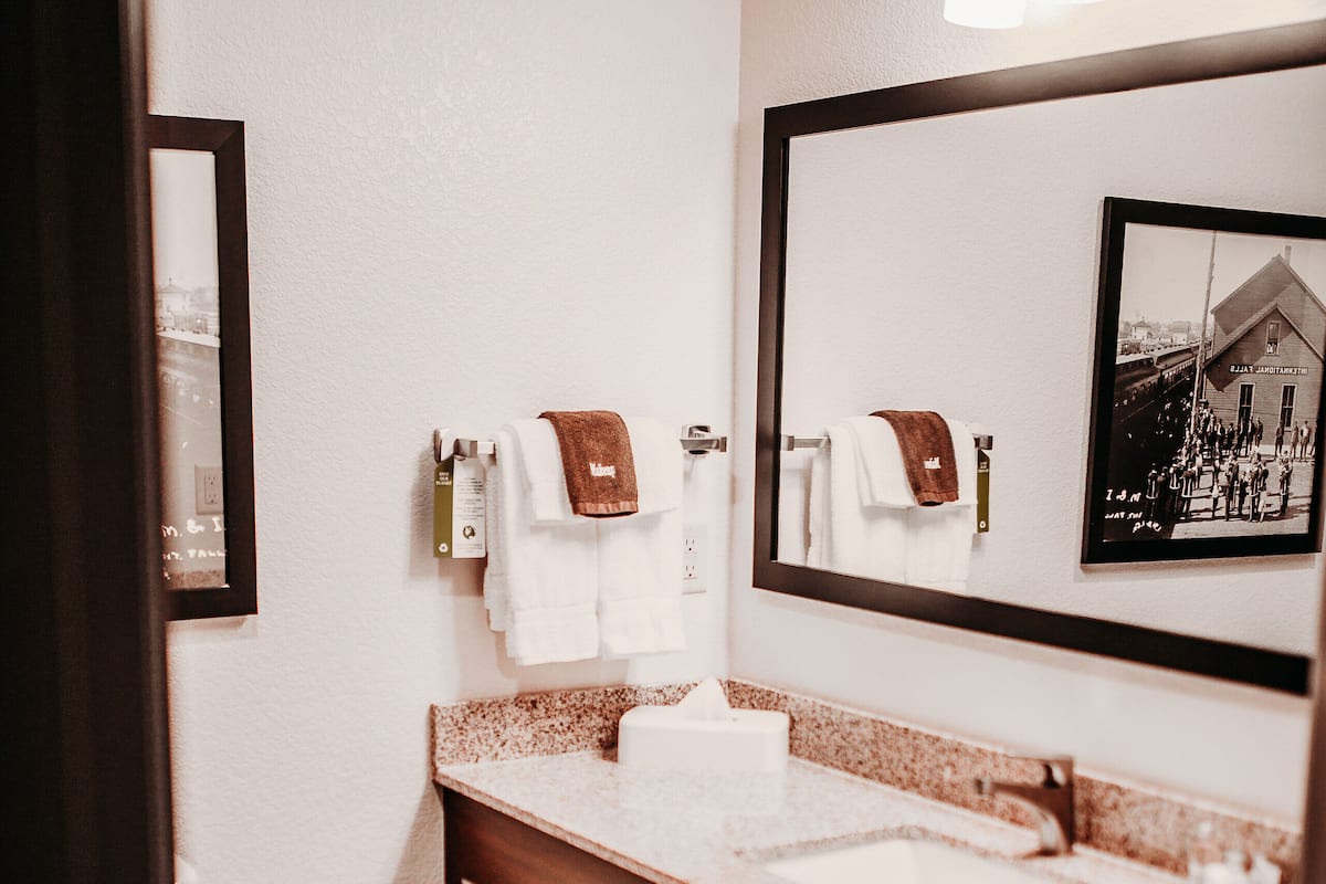 combined shower/bathtub, free toiletries, hair dryer, towels