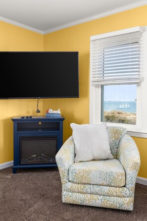 TV, fireplace, video games, books