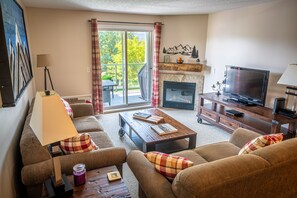 Smart TV, fireplace, DVD player, books