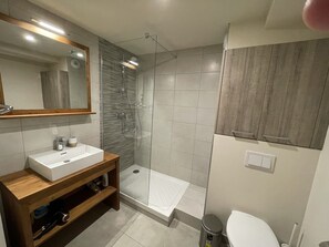 Shower, hair dryer, towels