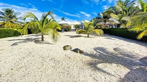 Une plage de sable fin, bordée de palmiers, sous un ciel bleu et dégagé.