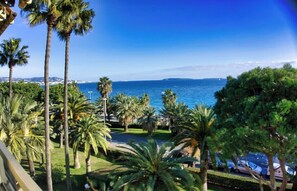 Property grounds - Palmes d'Or Properties - Ref MIDI (Cannes)