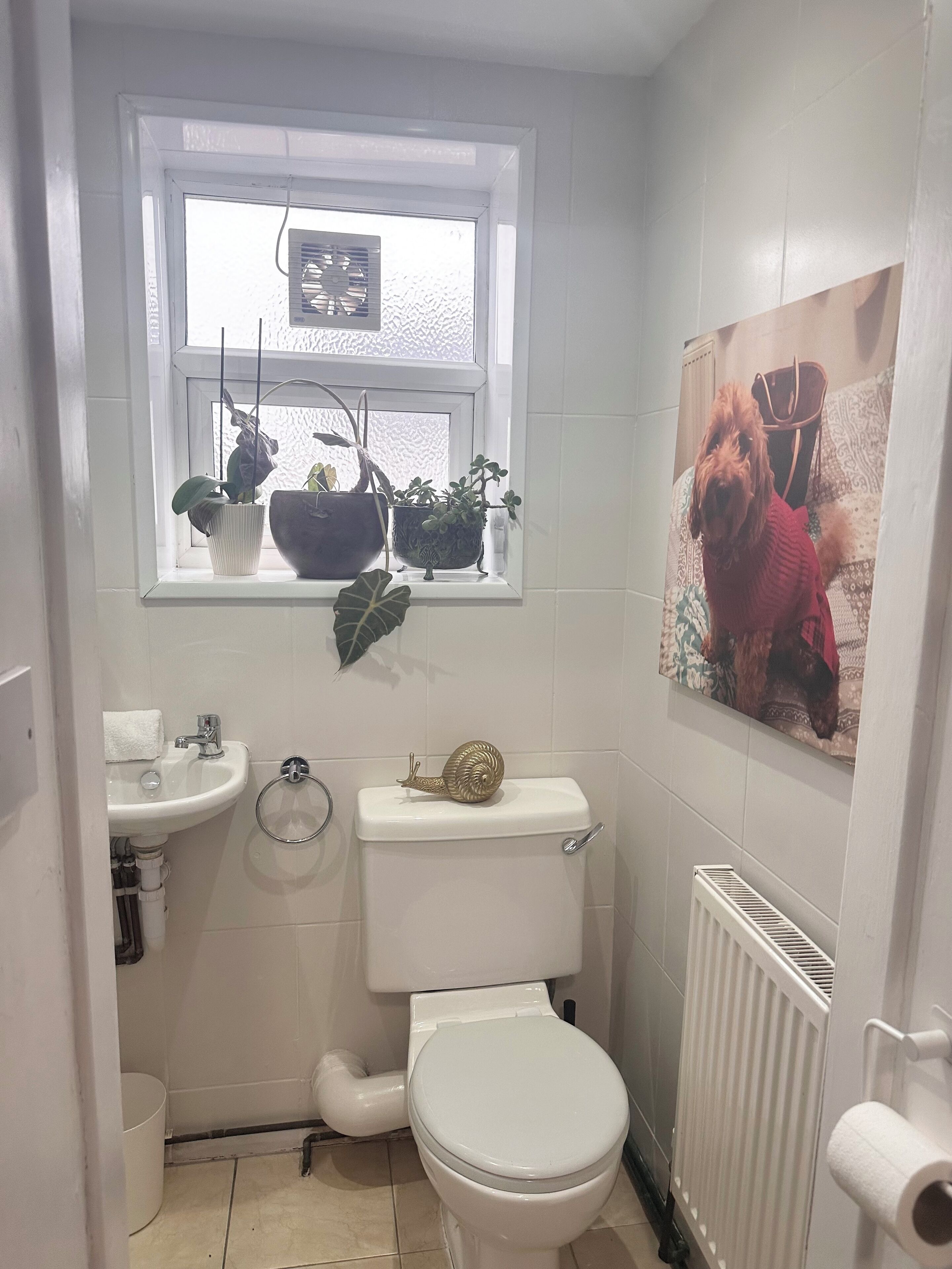 A bathroom with a toilet, sink, window with plants, and a wall-mounted radiator.