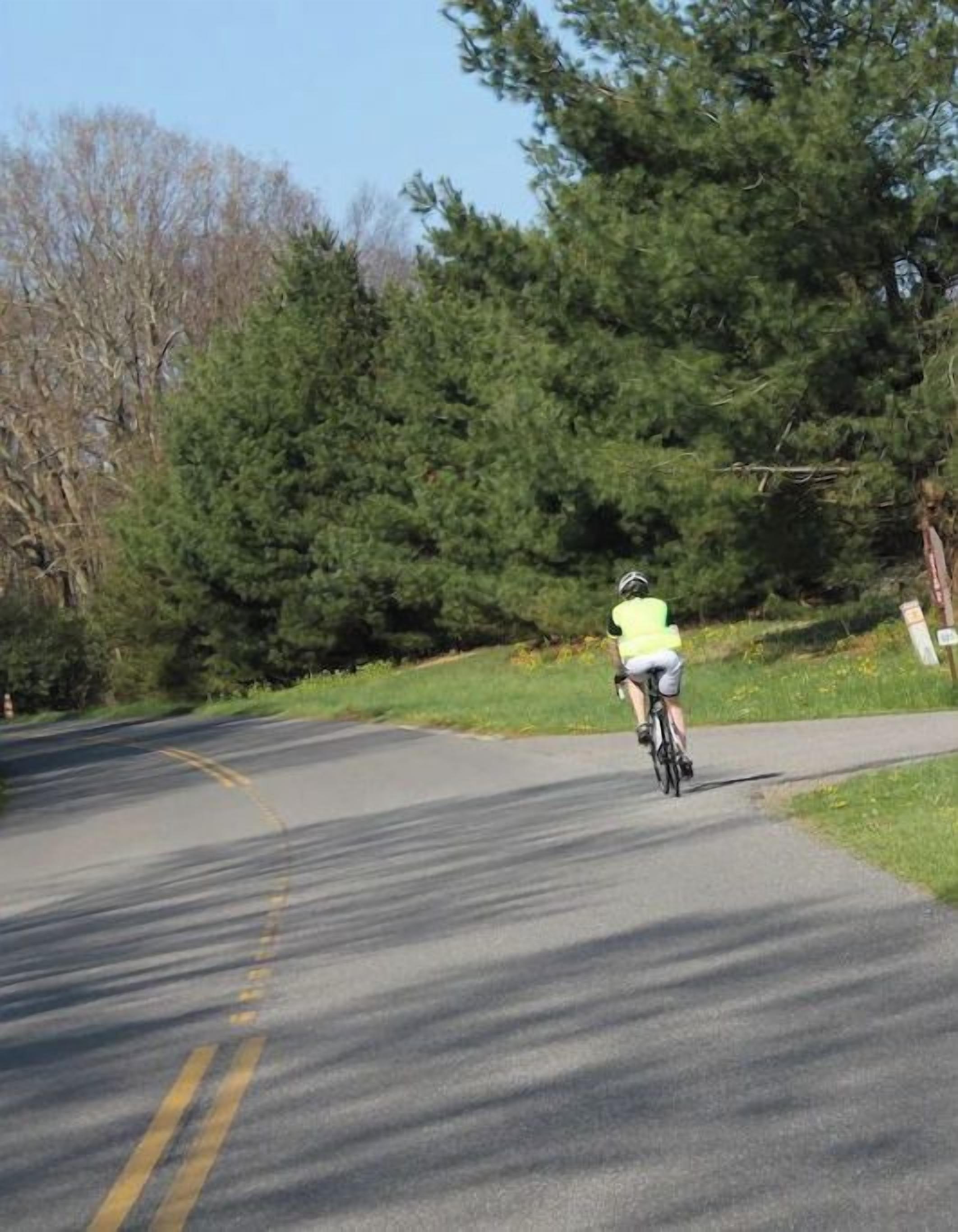 A cyclist on a paved path with trees and a clear sky in the background.