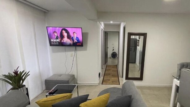 A modern living room with a flat-screen TV, a grey sofa, a coffee table, and a small plant.