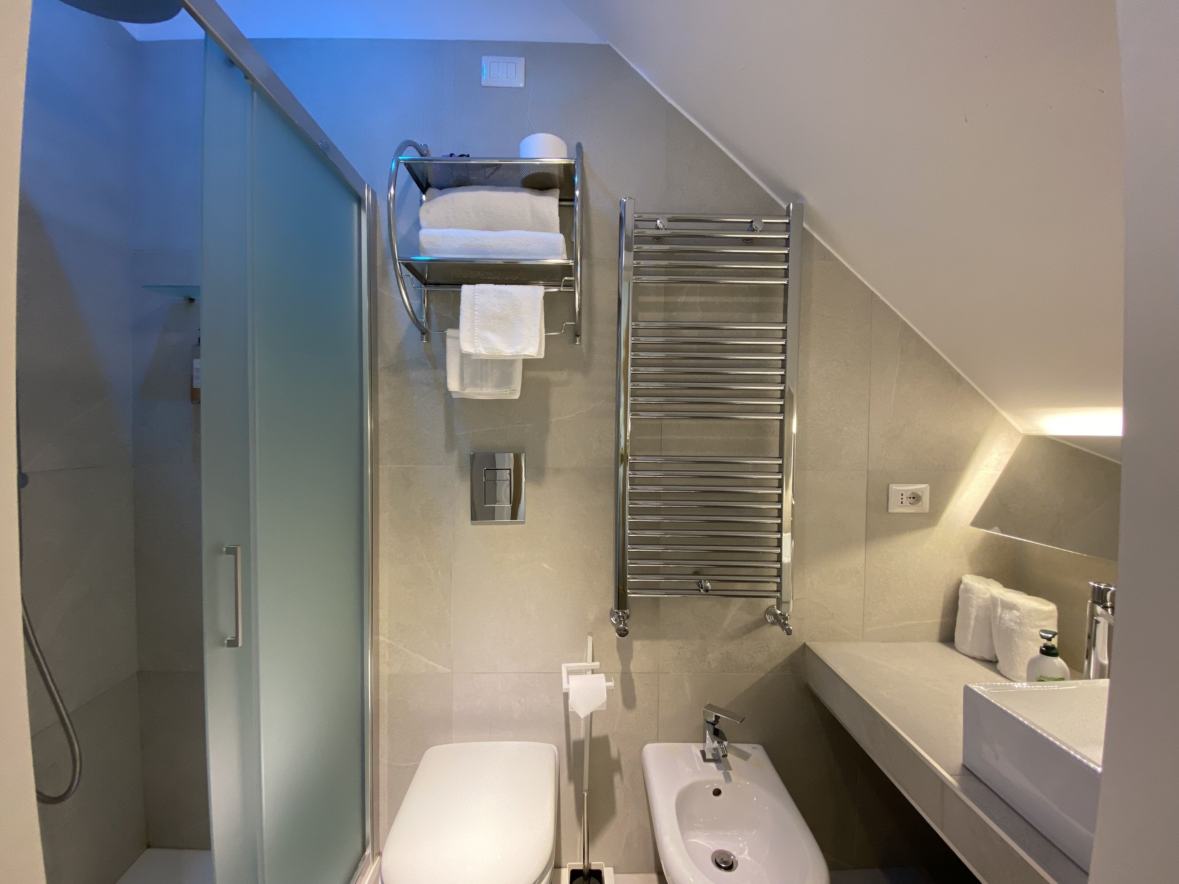 A modern bathroom with a glass shower enclosure, a bidet, a sink, and a towel rack.