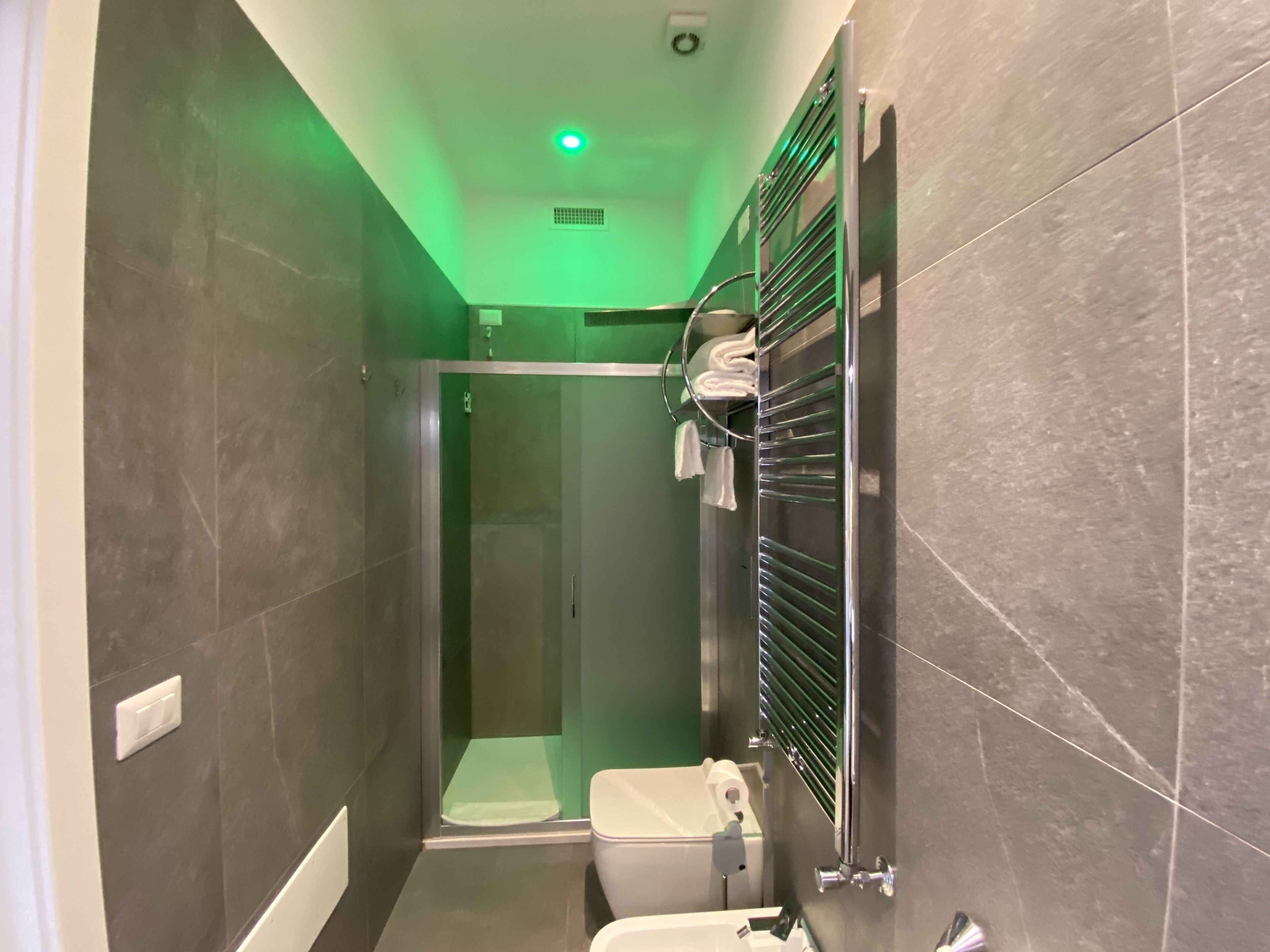 Une salle de bain moderne avec une douche à parois de verre, des toilettes et un porte-serviettes.