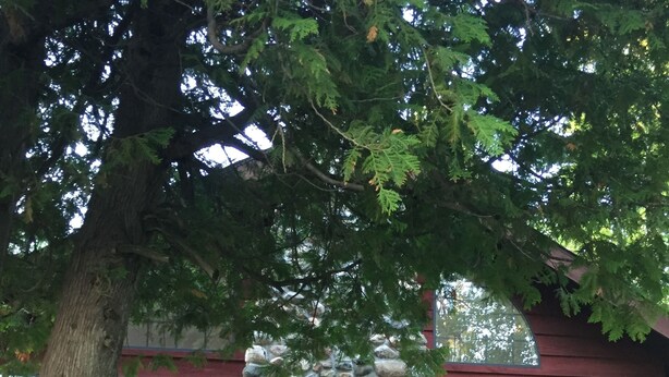 Eine Steinsäule mit einer Holzterrasse und einer Sitzgelegenheit im Freien.
