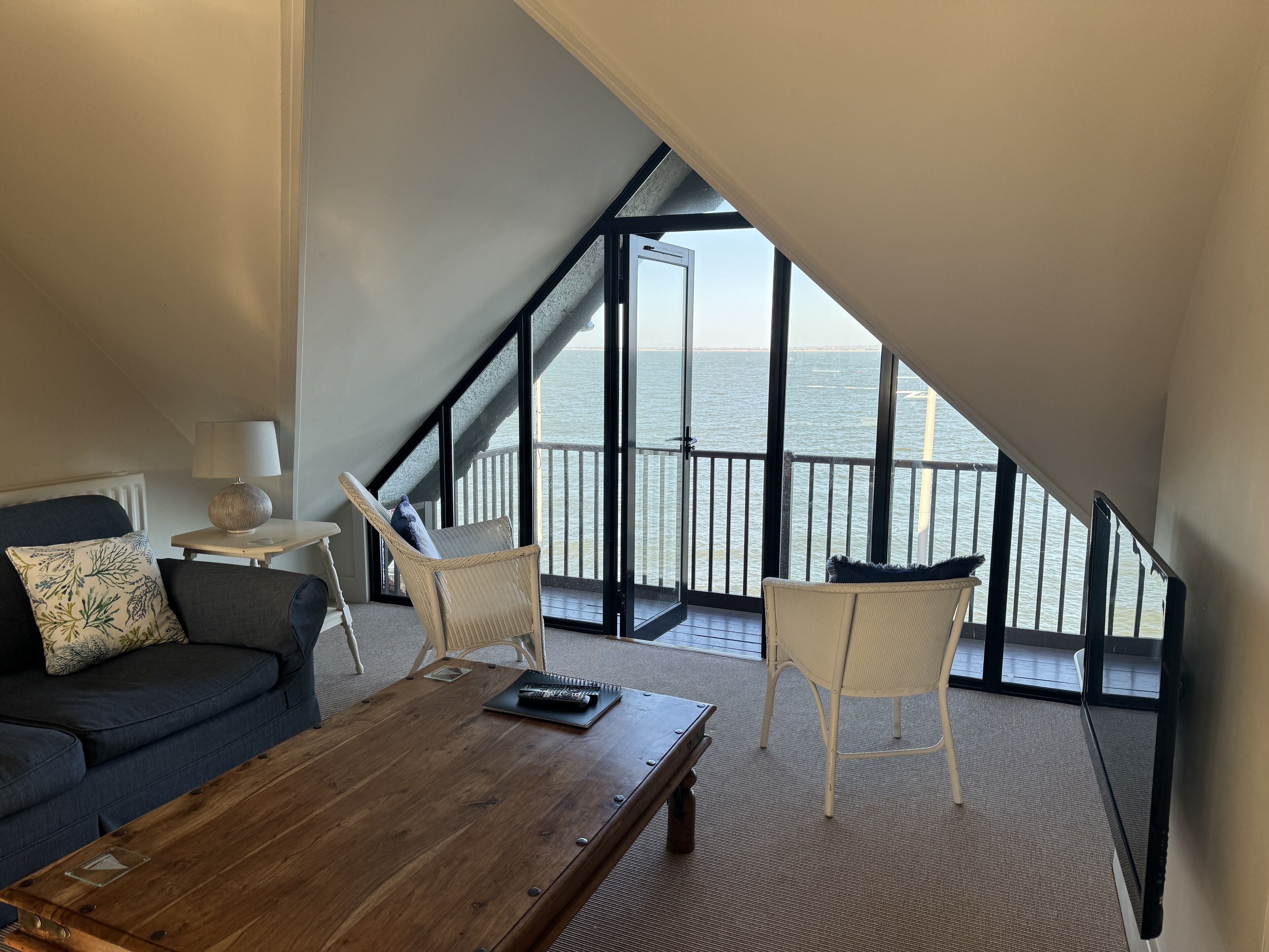 Älytelevisio, kirjoja