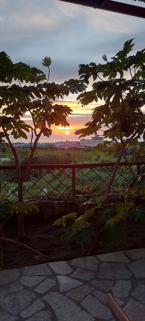 المنطقة المحيطة بالمنشأة