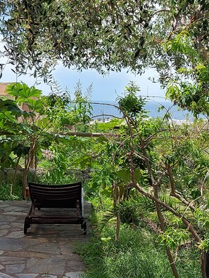 ا لمنطقة المحيطة بالمنشأة