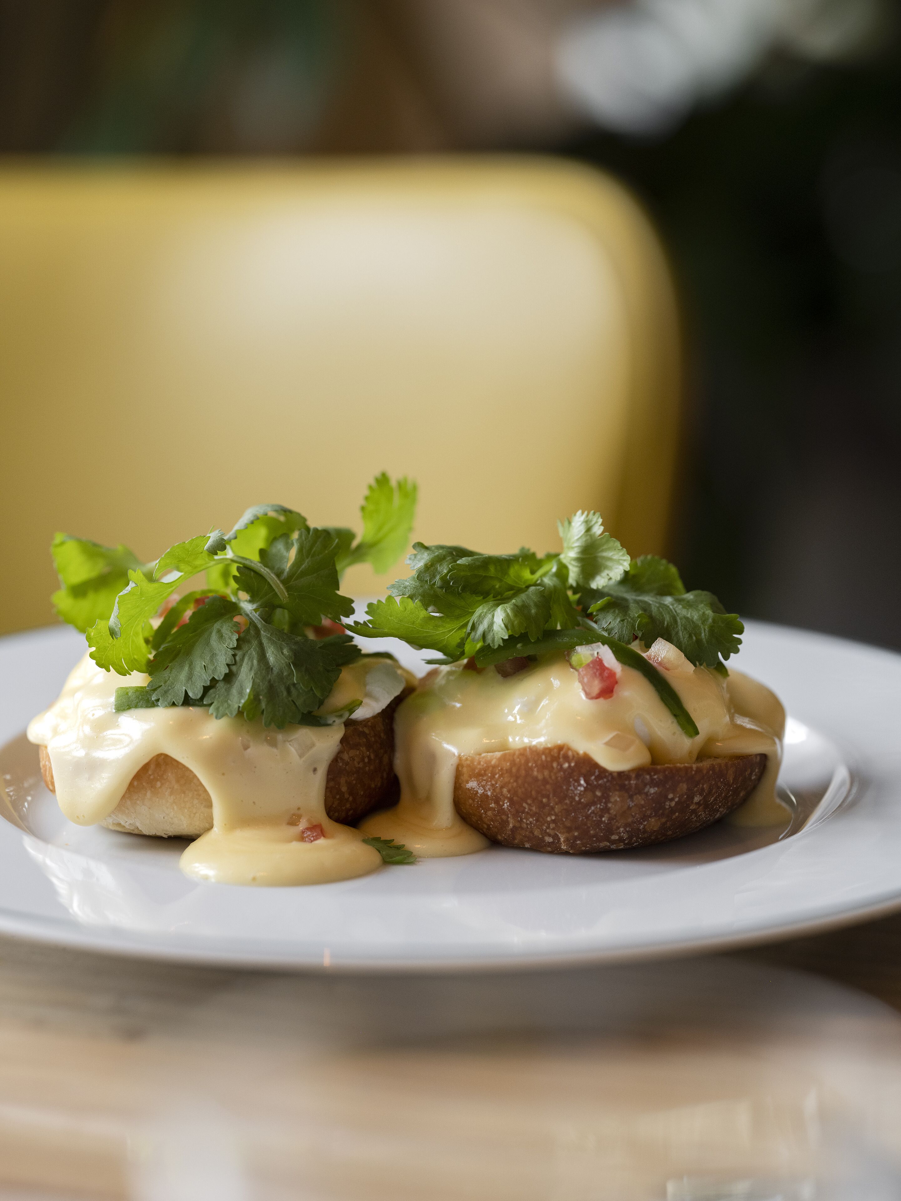 Un plato con un desayuno, posiblemente huevos Benedictinos, adornado con hierbas frescas.