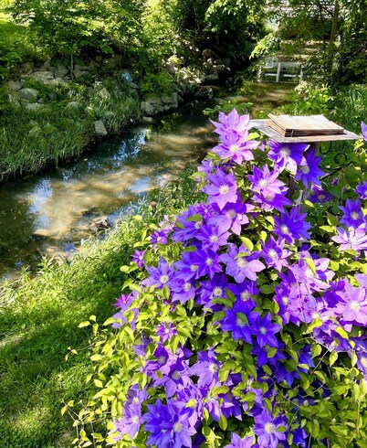Relaxing, Cozy & Secluded One Loft Bedroom A-Frame w/ Wood Burning Pellet Stove
