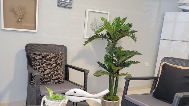 A modern living room with two wicker chairs, a dark coffee table, and a potted plant. - Playa icacos (Fajardo)