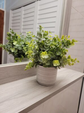 A potted plant on a wooden ledge. - Playa icacos (Fajardo)