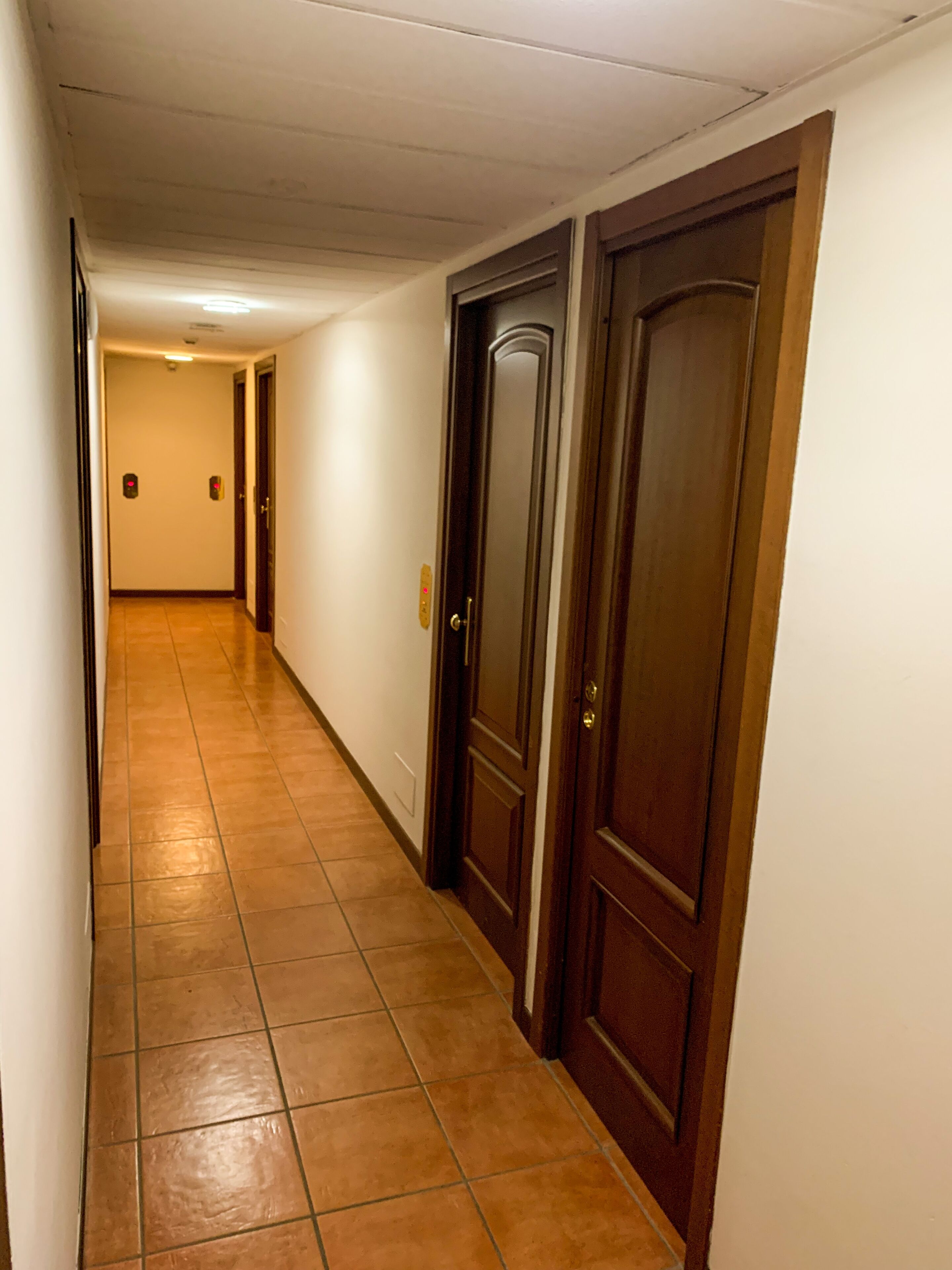 A hallway with tiled flooring and wooden doors.